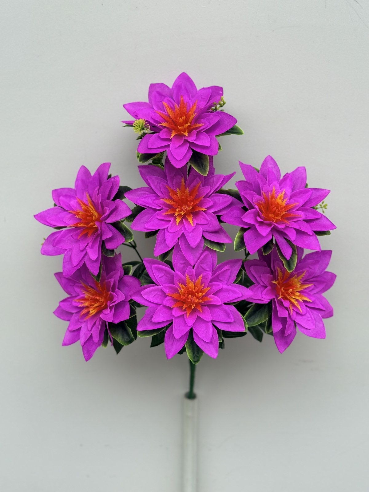 0-02-05-564568b0fcc376385a048166f33aa06ab22ad8197bf4c1a190a16481ea62188c_7e54f0a5de127b9e