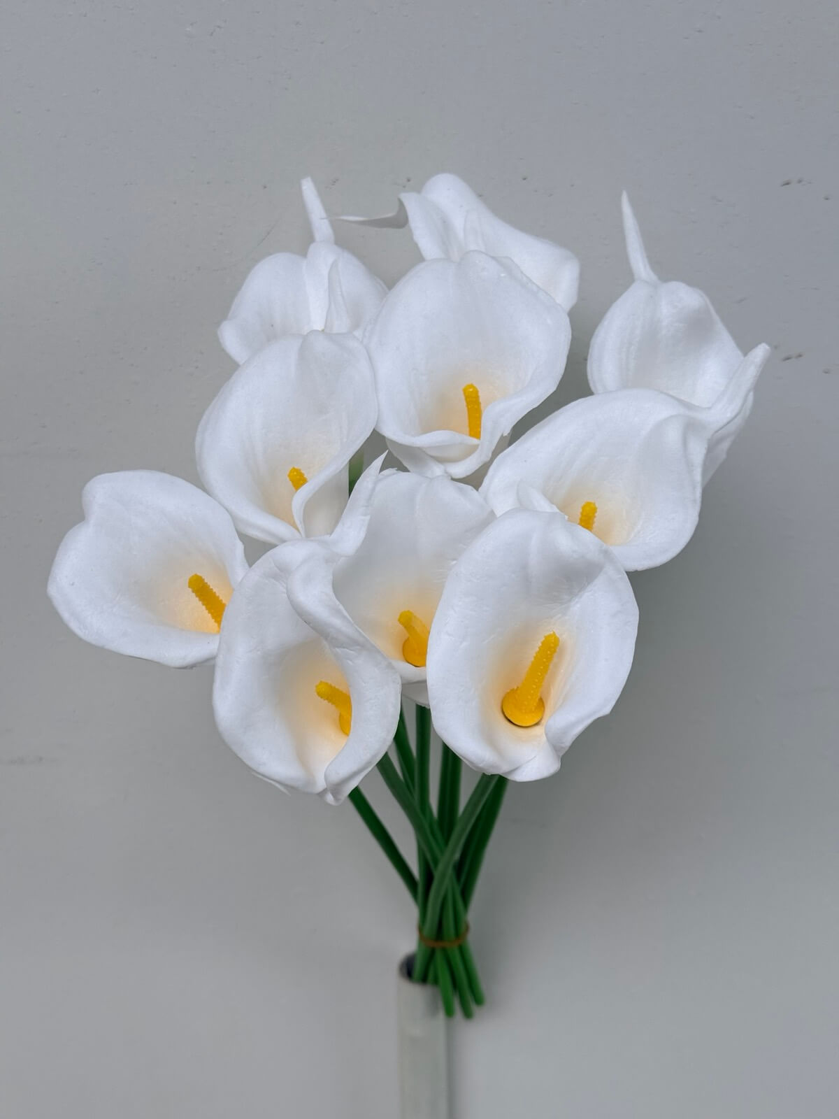 0-02-04-8be168fb6eb186f1721107d0b812a62084c8f832e3ee74c145fdada75b22d035_87fc49834a9ee568