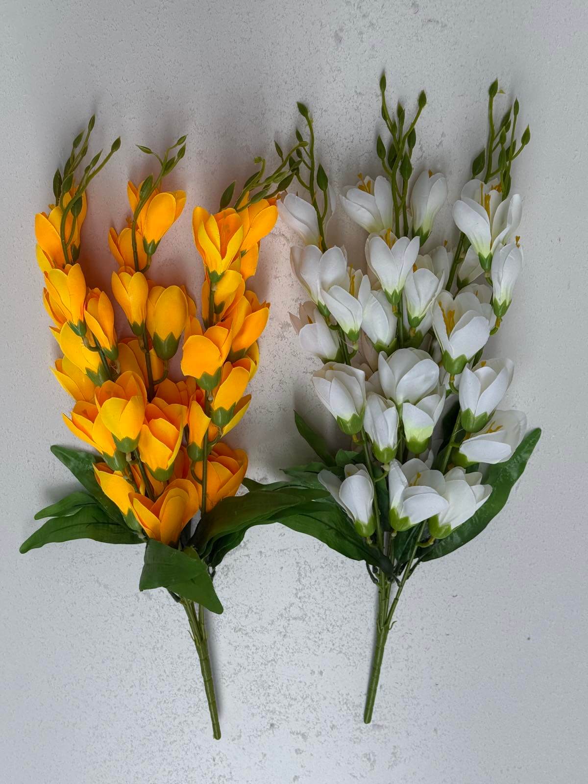 Магнолия не прес. 0847