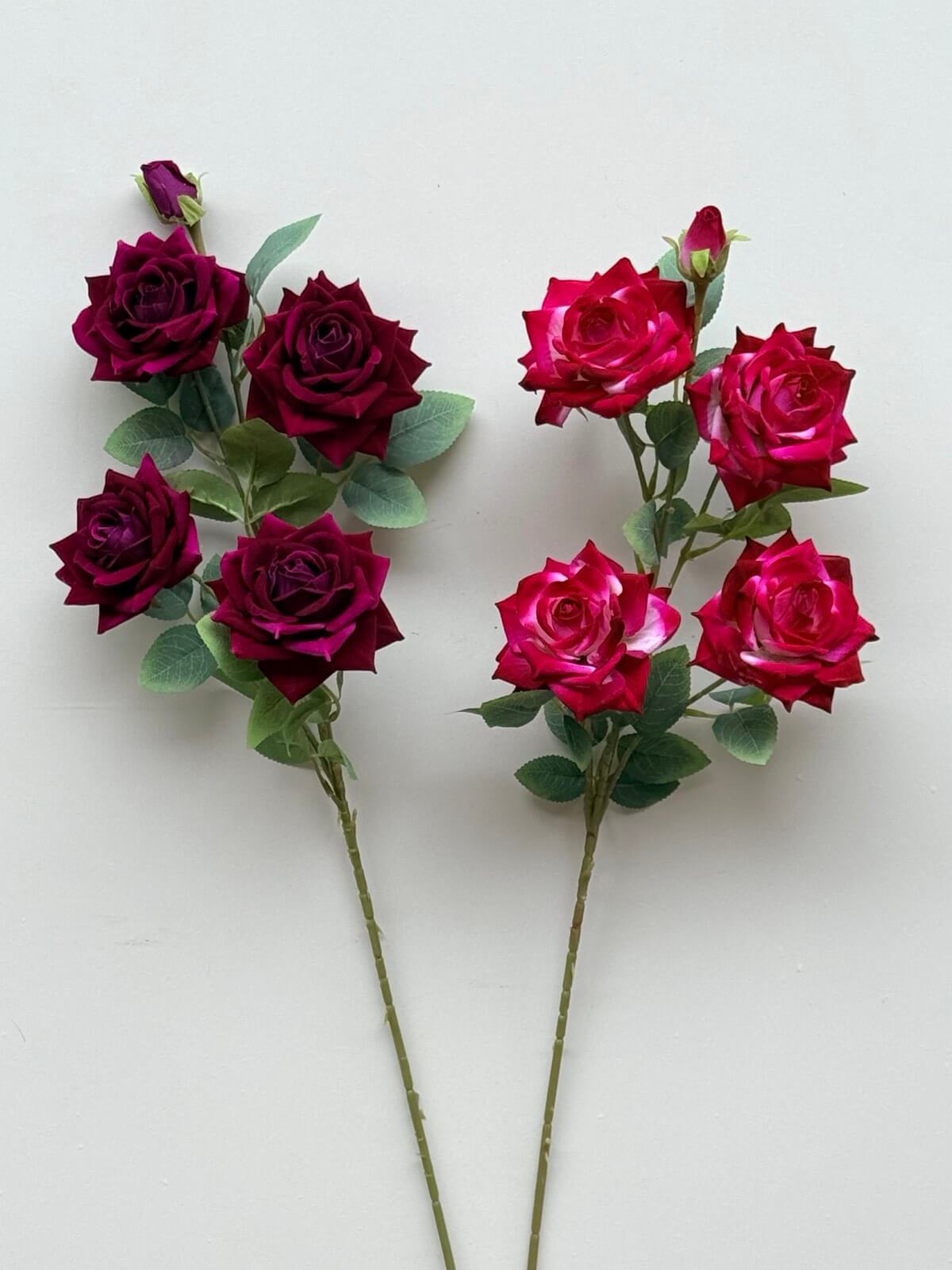 0-02-05-94e985feaaaa8c2a2feee214fdd1877c8236ae1ac7291c6be302ad87116a99b9_ad36ae84ca371c23