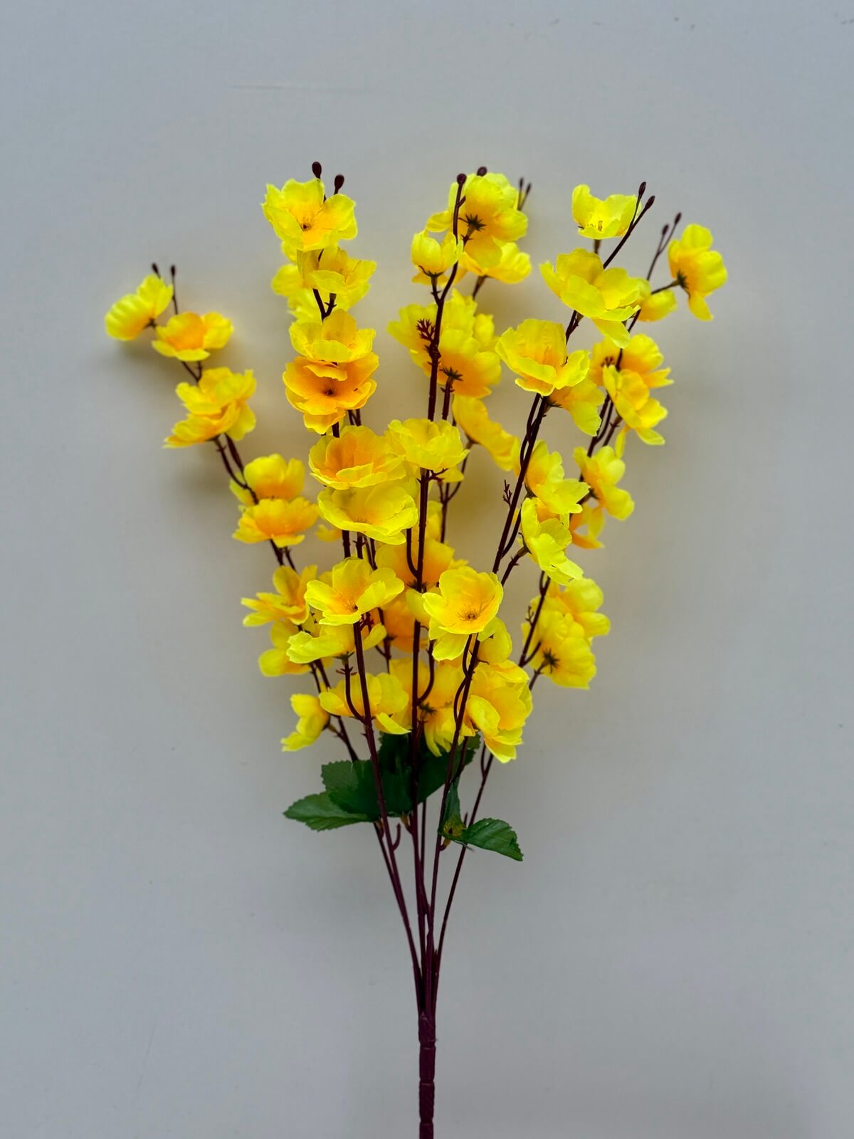 0-02-04-4d766be2e2daf86d6b984155214e5d1f15ca47602b01cfc49e8cc0305e51f750_7bd71a2571cf2574