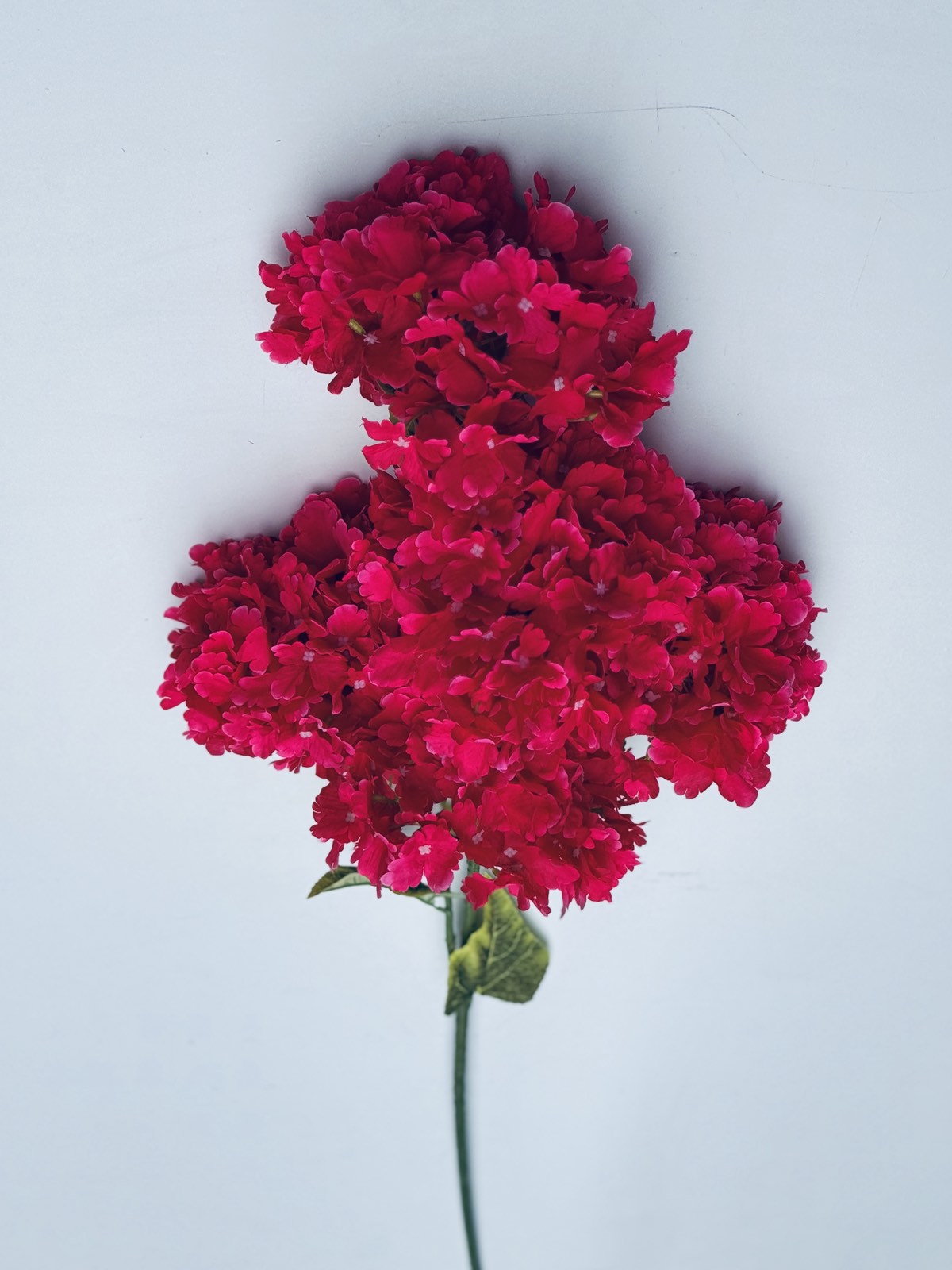 0-02-05-67b402853f365ca9afe7fb14c8c571cde3fffbff3bb259570bc7efac679db6f4_22438b0cd566f4b2