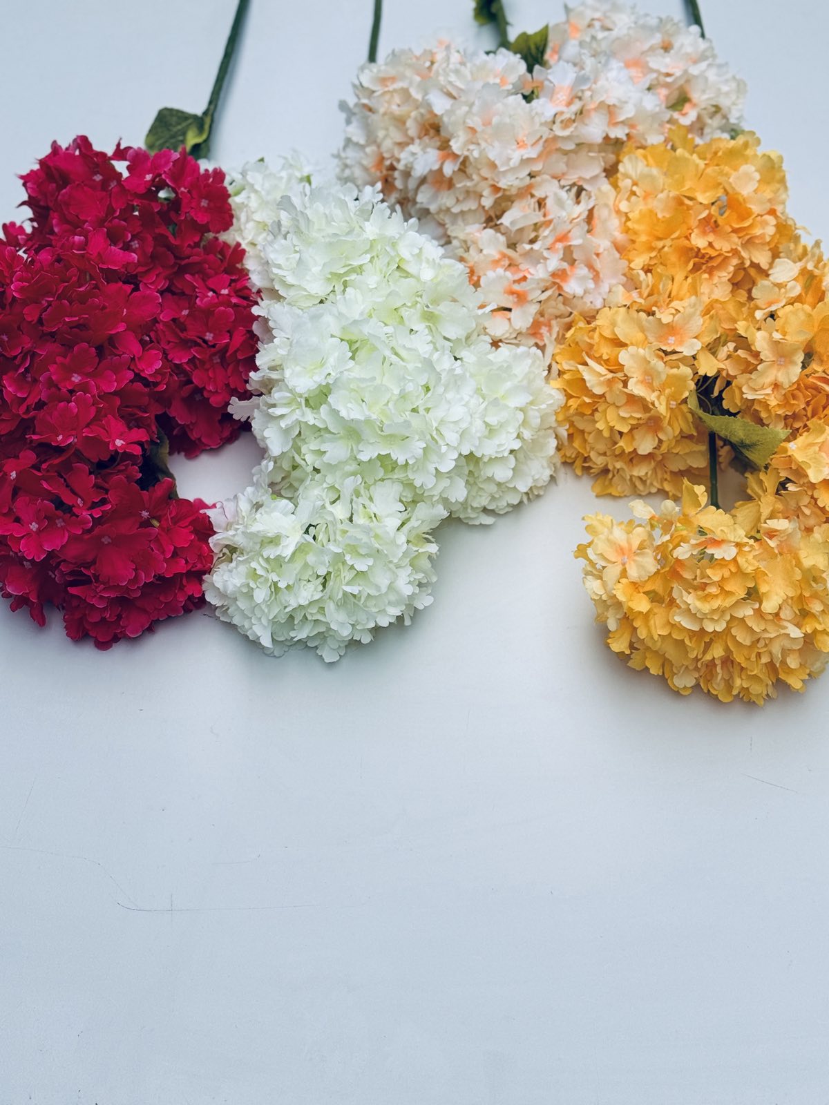 0-02-05-6aae47a5511d5f3cc5adde55778edaf255ffe80cb331f8047c8a2a3fde5246c0_ada36a33e5f5198