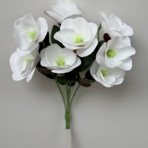 Магнолія латекс не прес. 937